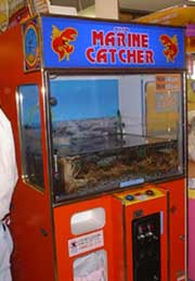 �L���b�`���[➑�