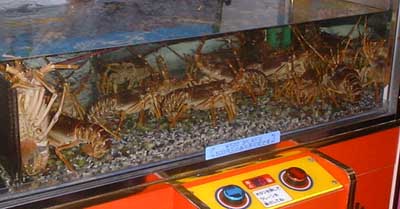 �������[�[�[